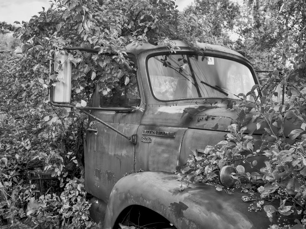 International. Salvage Yard. Concord, New Hampshire, Summer 2025