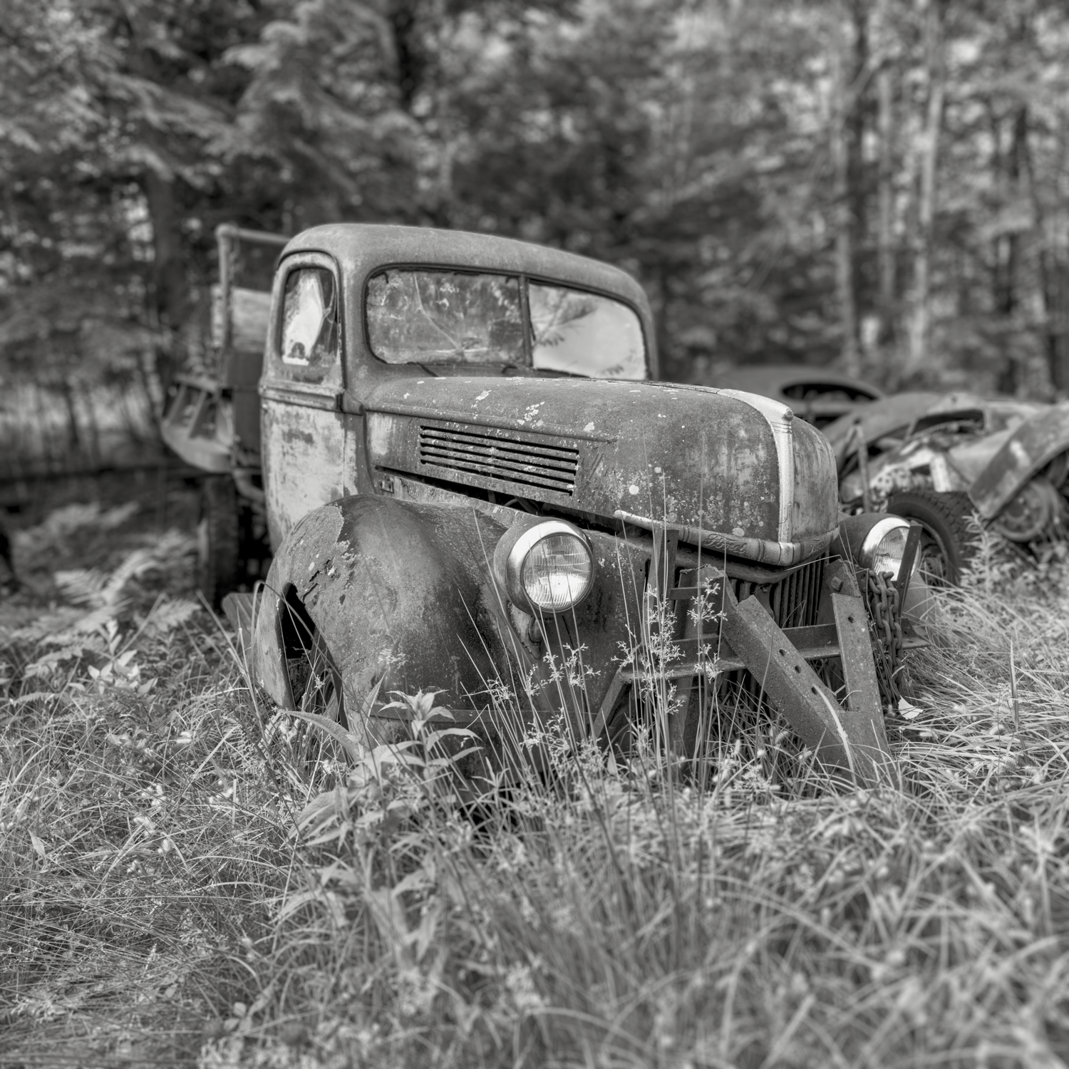 Ford. Central NH.  Hasselblad X1DII. Summer Solstice 2025. 