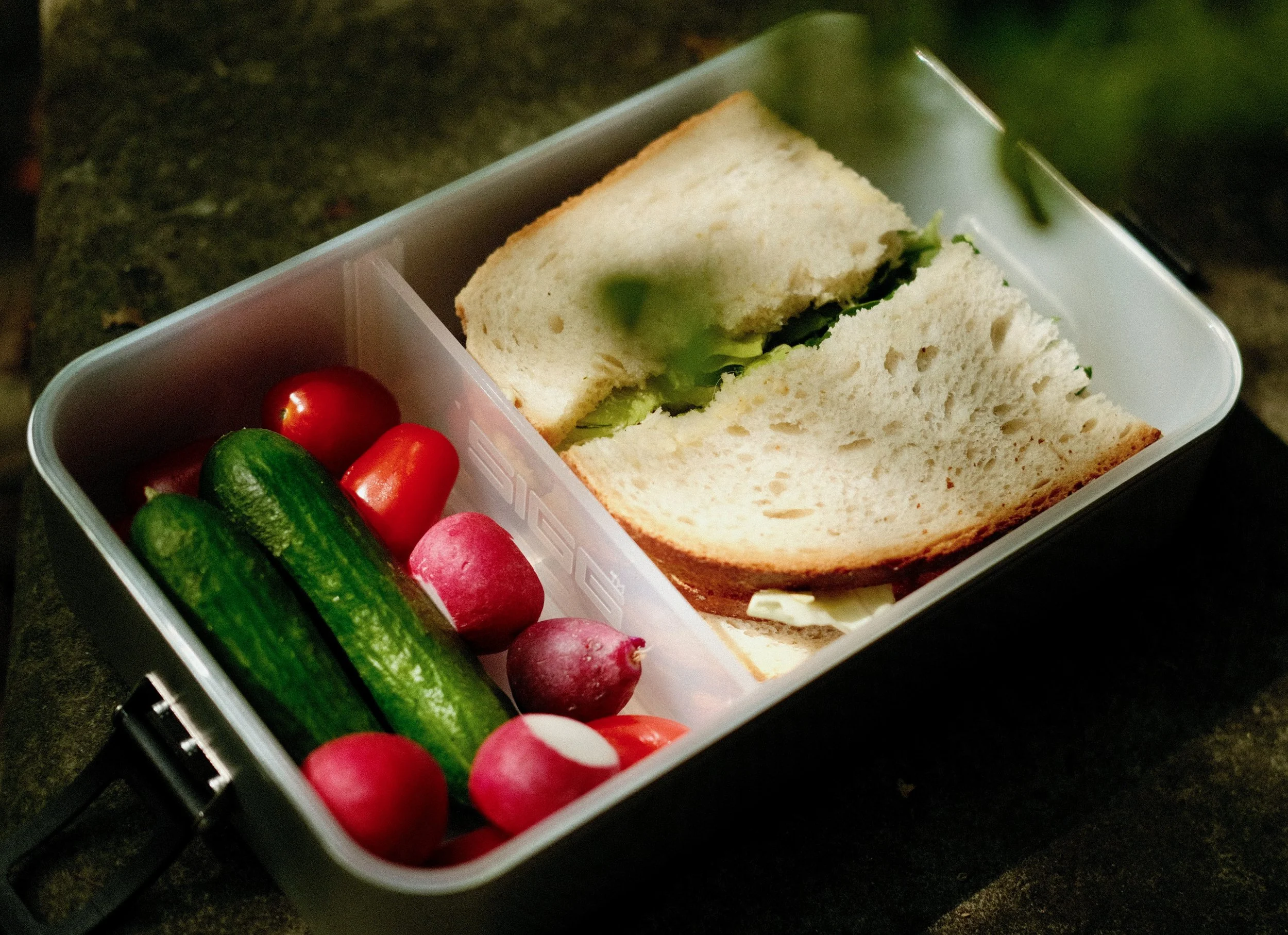 Back-to-School Nutrition: Healthy Lunches, Picky Eaters &amp; Less Mealtime Stress&nbsp;