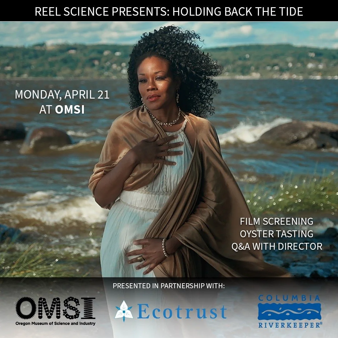 square omsi poster.jpeg