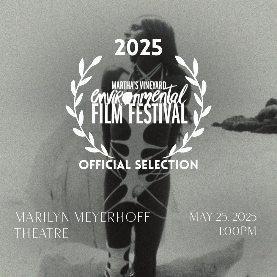 MVEFF announce.jpg
