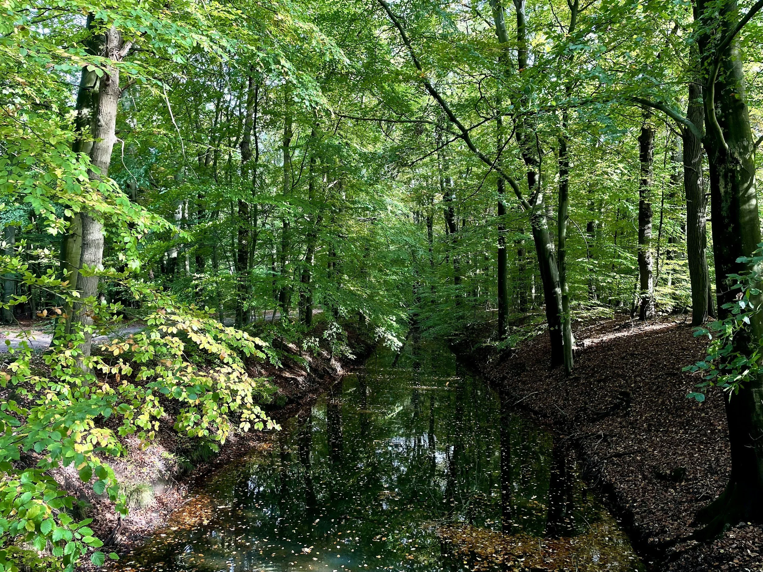 Lower Neponset River Superfund Site Public Information Meeting