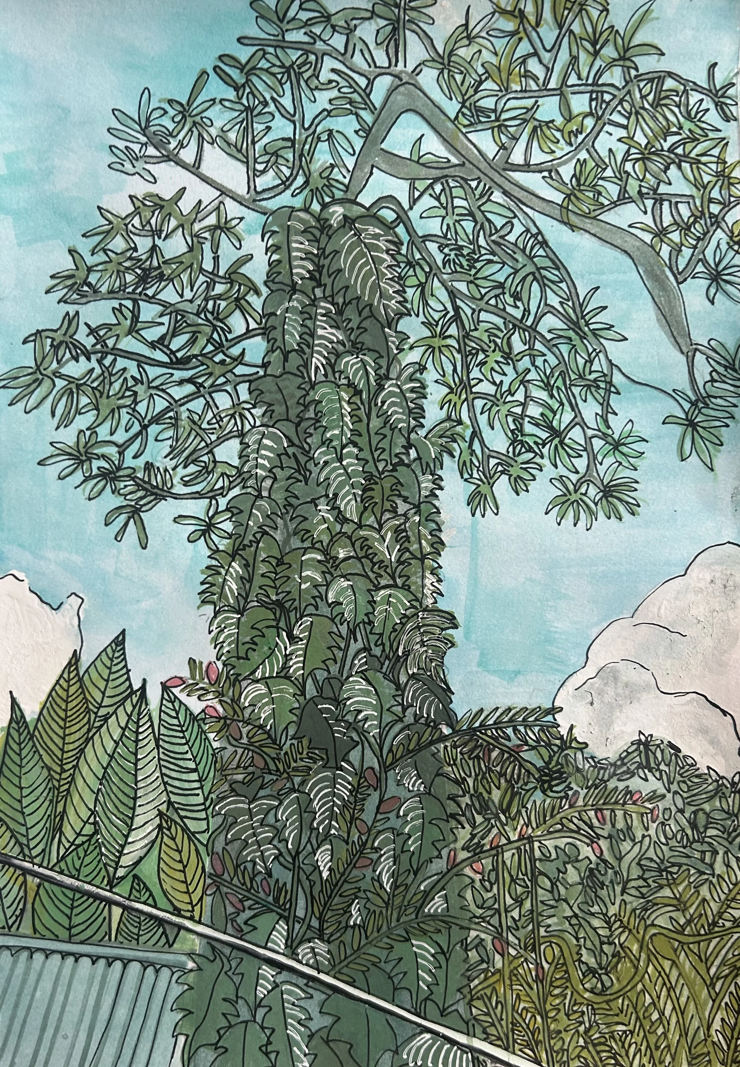 'Baguio' 
 
Original (gouache on paper with frame) — £180
 
 
A4 print — £10
 
A5 print — £5
 
Available to purchase at Kubo Garden
