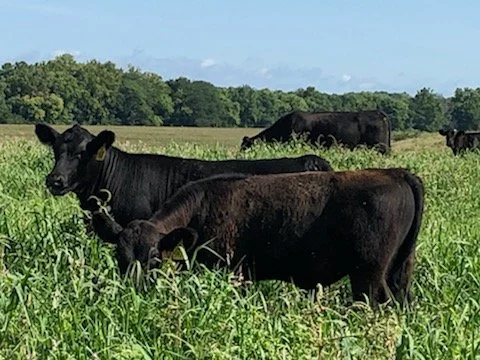 Price Family Farms, LLC photo 2