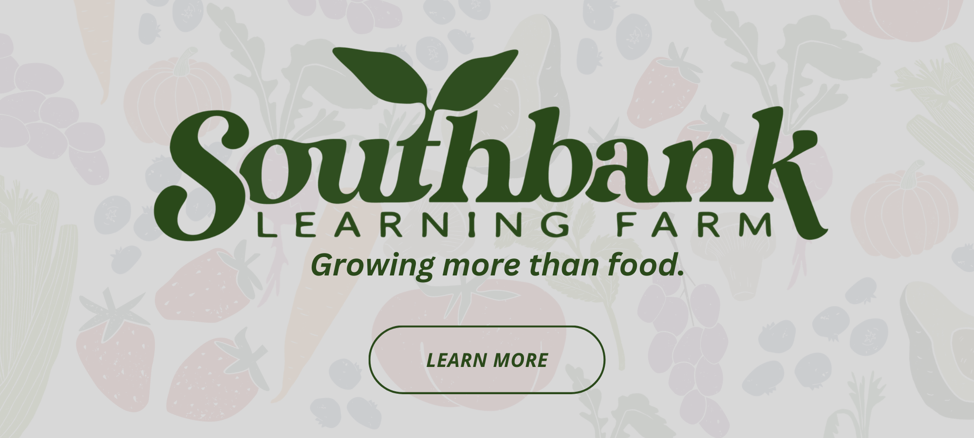 Website Banners (5).png