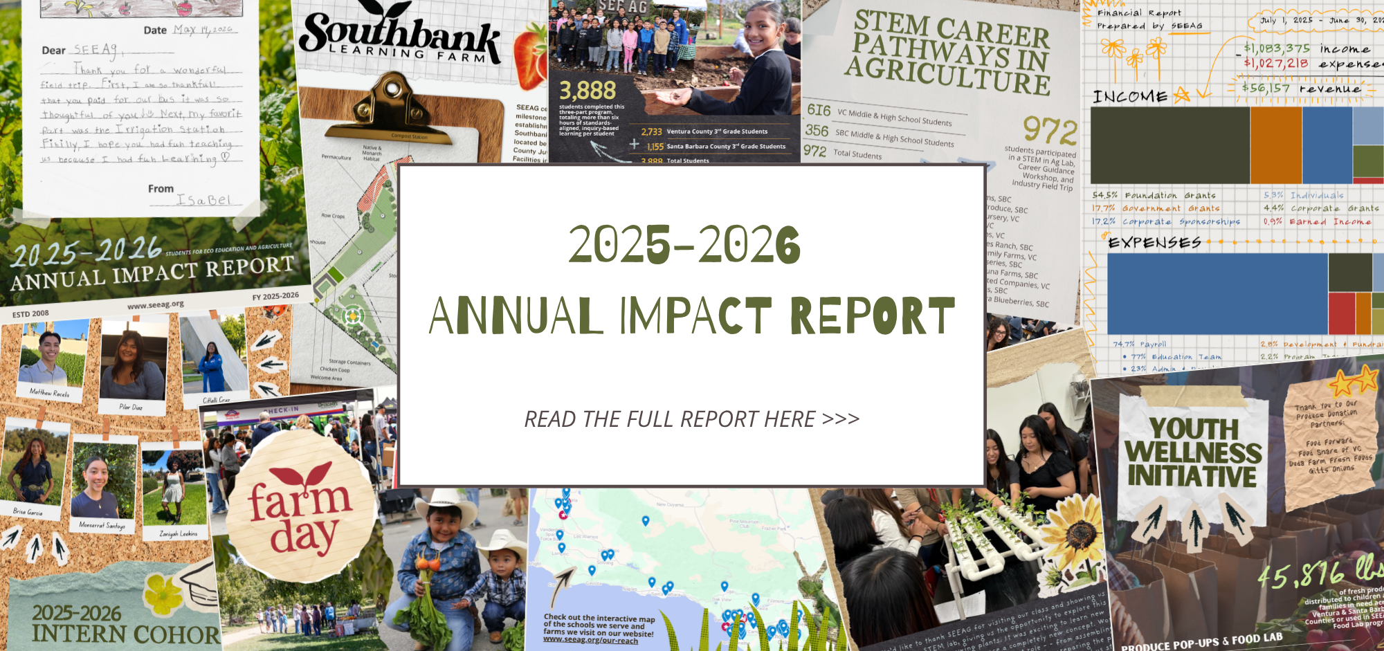 2025-2026 Annual Impact Report