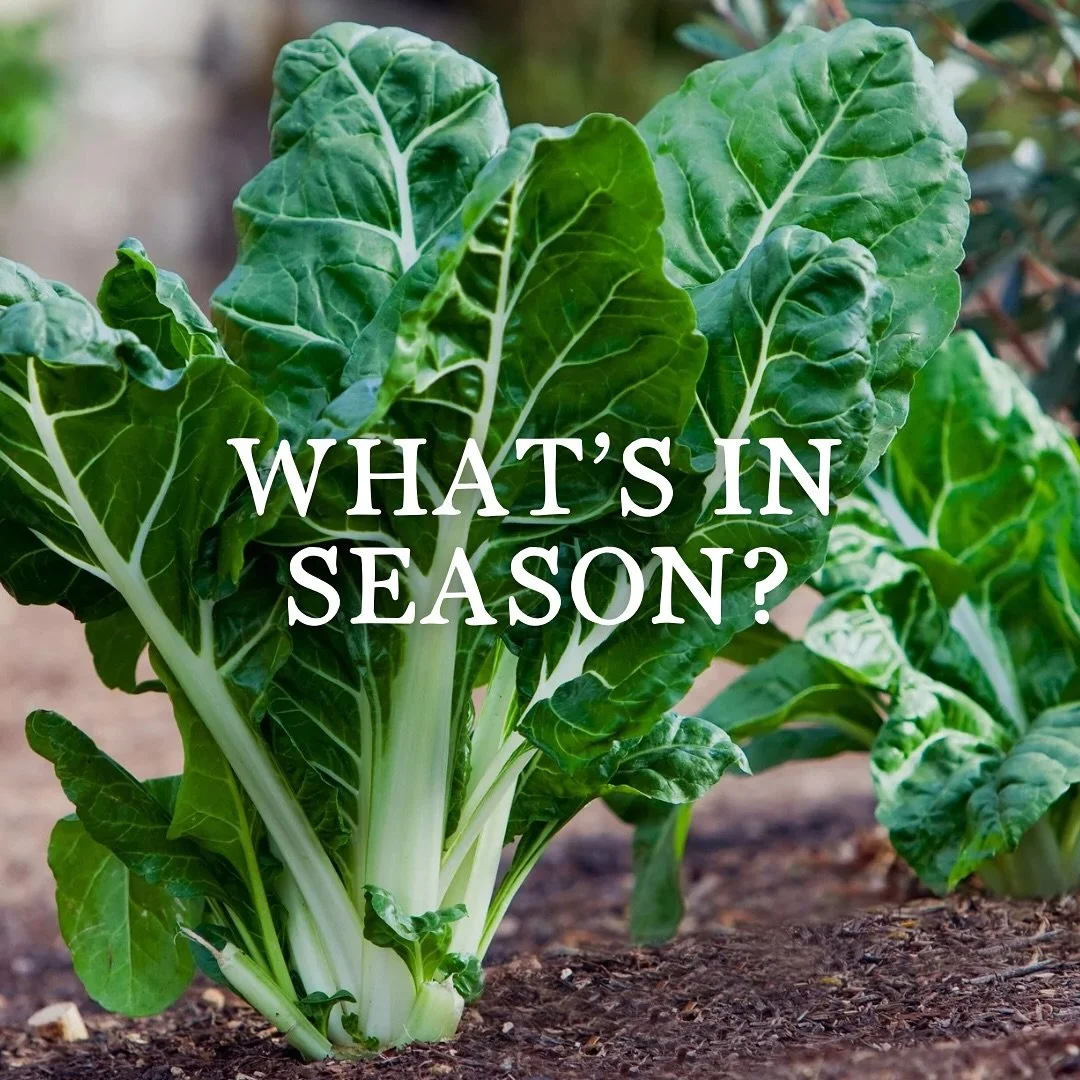 Learning what&rsquo;s in season helps us stay connected with the hands and lands that feed us. Discover which produce is in season this fall! 🍎🥦🥕🥬 

#SEEAG #InSeason #SantaBarbaraCounty #VenturaCounty #HealthyEating