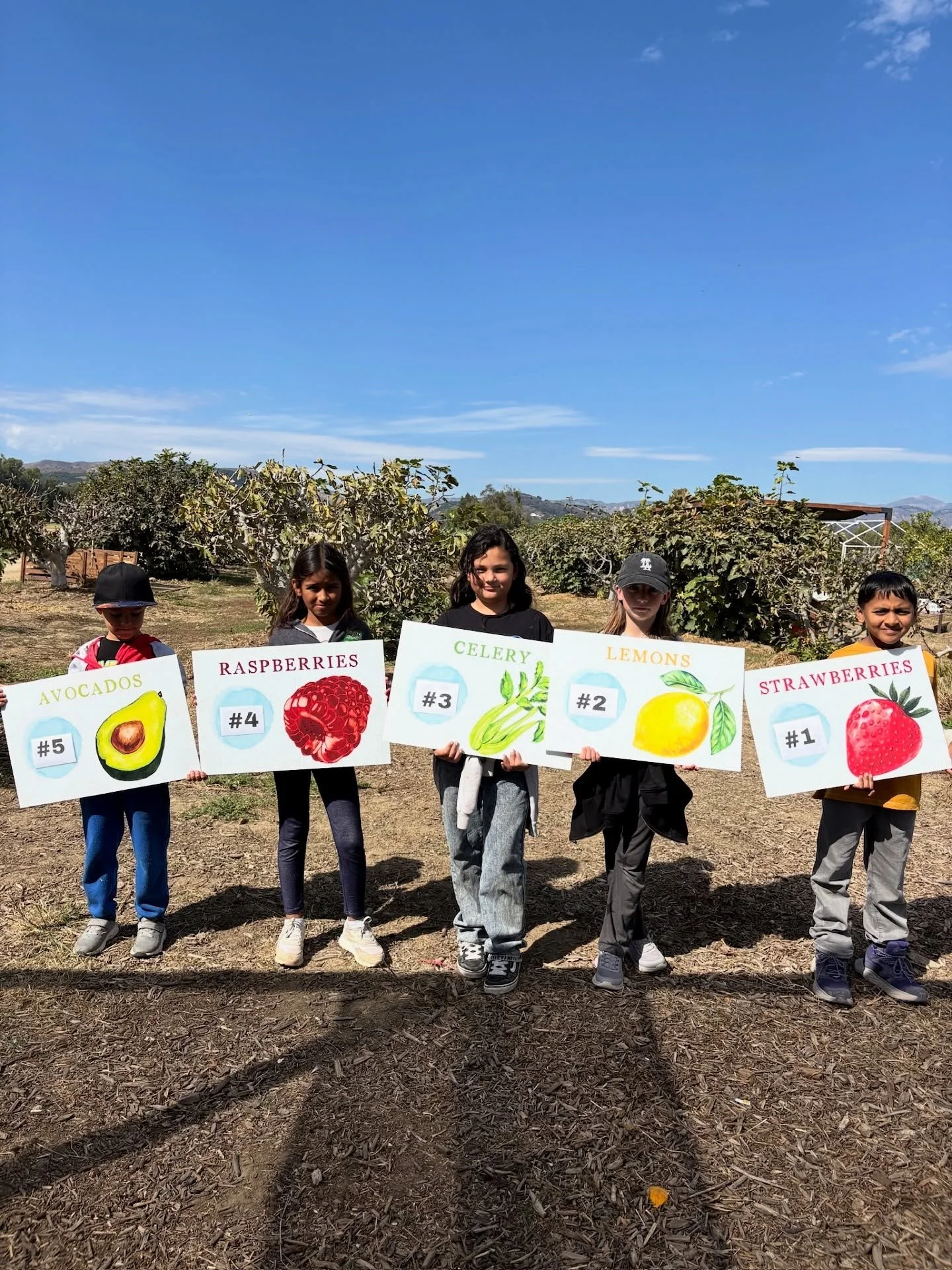 🍋🍓🥑Why Are Top Crops Important?🥑🍓🍋

Our students are exploring the top crops grown right here in Ventura and Santa Barbara Counties &mdash; and discovering why they matter so much! 🌱

They&rsquo;ve learned that local agriculture is important b