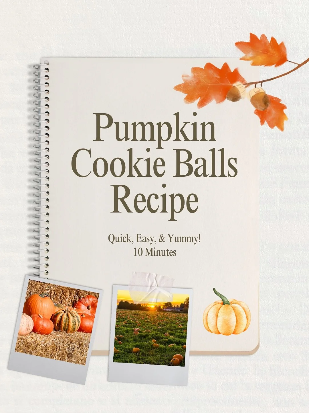 Have leftover pumpkin seeds? We&rsquo;ve got the tastiest recipe for you! 🎃 

Make sure to visit local pumpkin patches and support our local growers! 🌱

#SEEAG #VenturaCounty #SantaBarbaraCounty #PumpkinRecipe