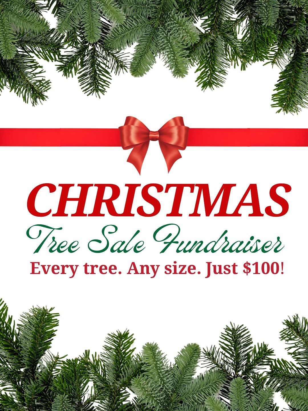 Celebrate the holidays with a beautiful, fresh-cut Silver Tip tree from the Sierra Nevadas! 🌲

Every tree, Any size, Just $100! ❄️ 

Proceeds benefit SEEAG&rsquo;s youth education programs&mdash;ensuring students grow with a deeper understanding of 