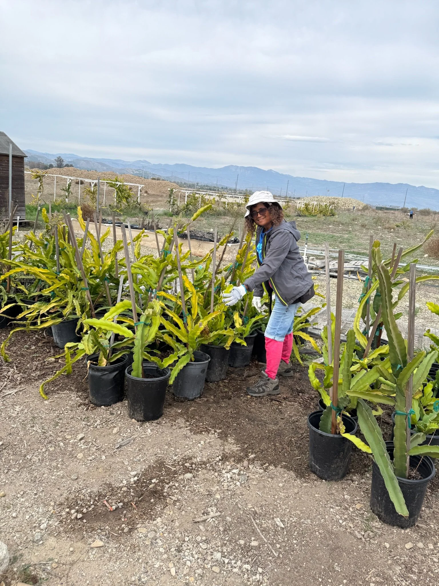 A Heartwarming Volunteer Day at Our Whole Harvest Campaign Farm!