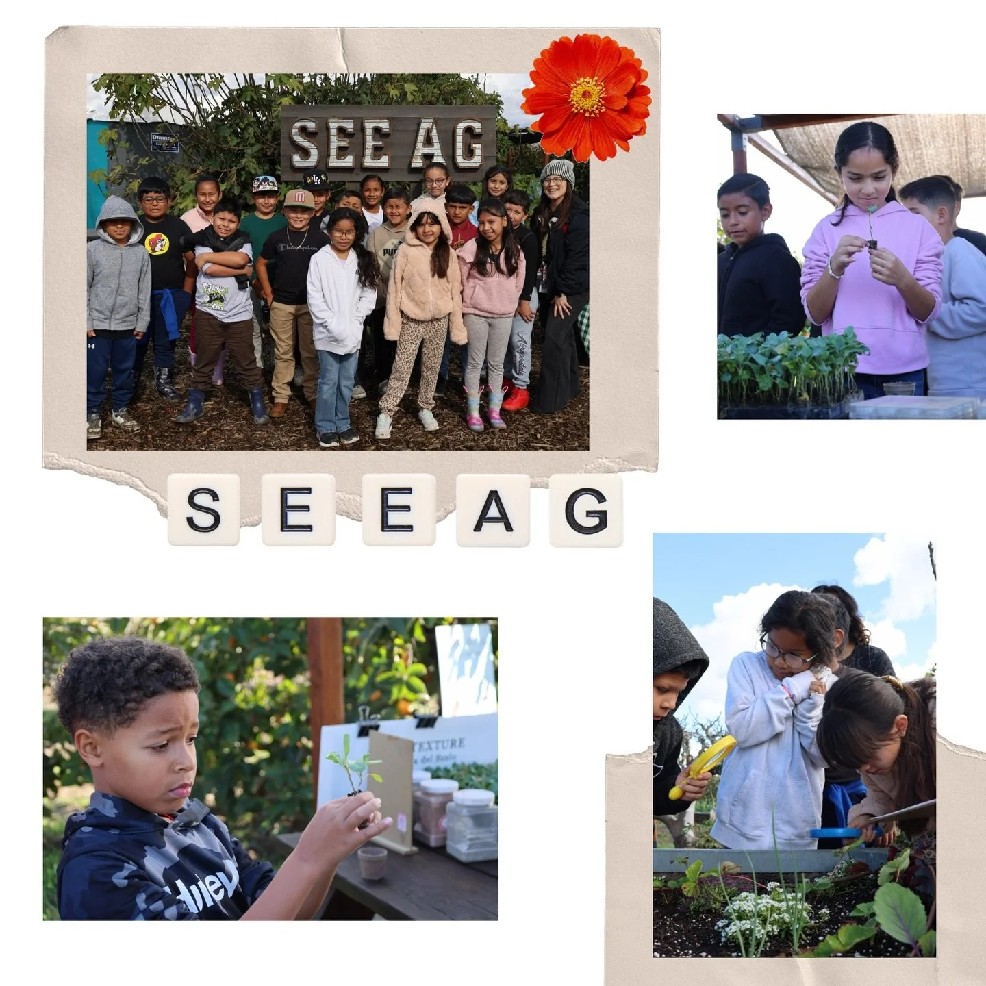 This Giving Tuesday, your gift helps deliver agriculture education to students, inspiring curiosity, connection, and appreciation for the hands and lands that feed us. 🙌 

This year we are doubling down on giving. For every $200 donation, SEEAG will