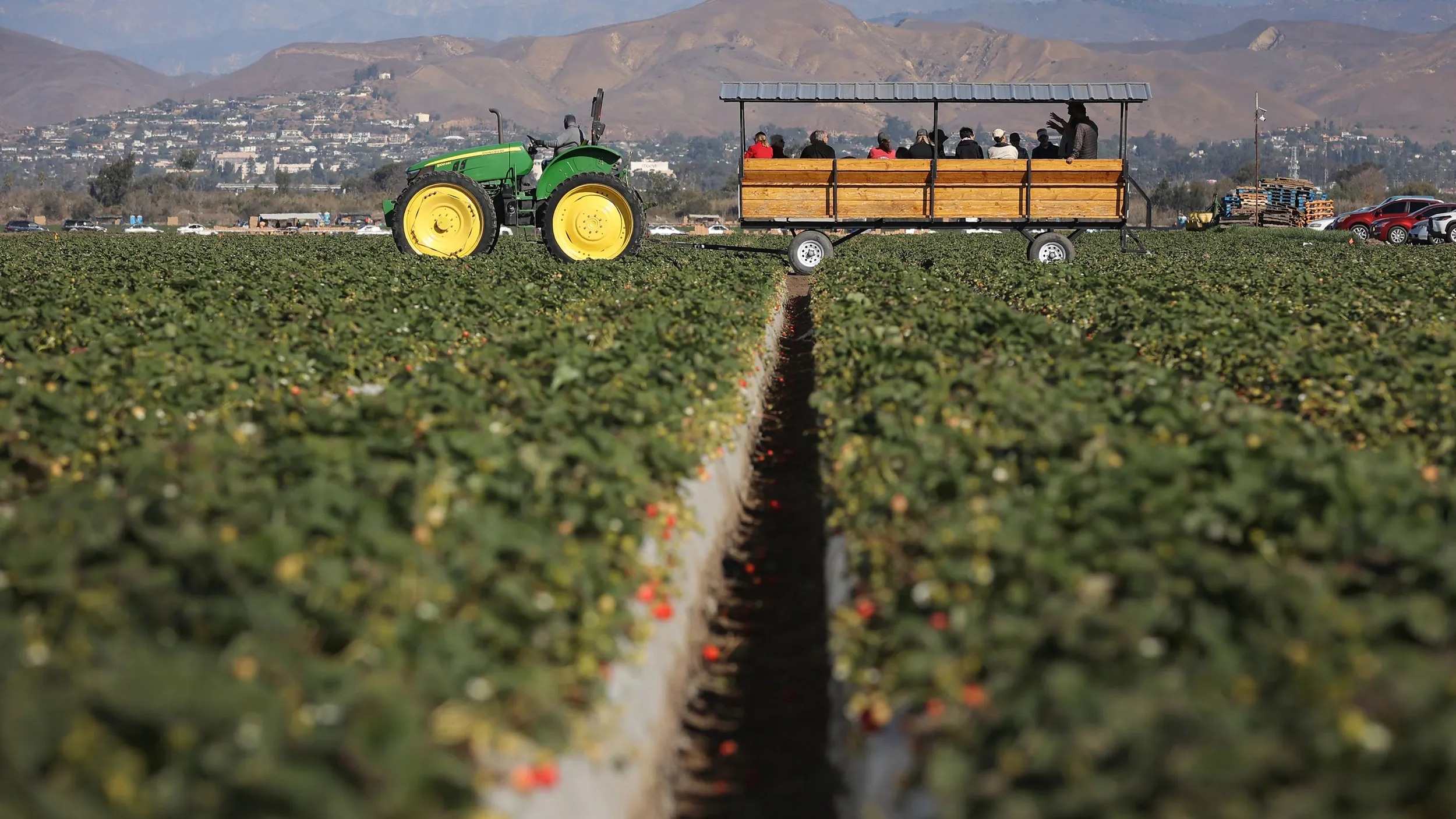 Farm Day Every Day: 2025 Program Recap