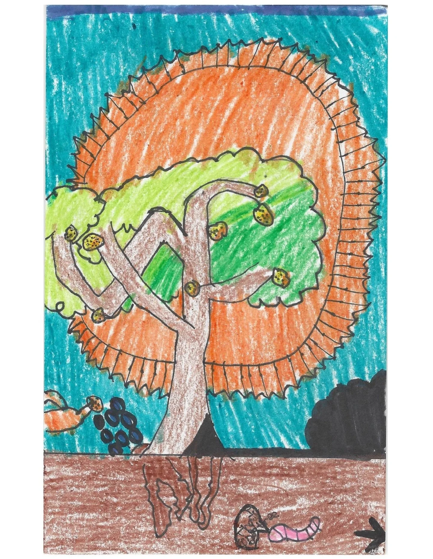 We LOVE getting the sweetest thank you notes and beautiful artwork from our 3rd graders after their field trips. Your drawings and messages always make our day and remind us why we love to educate the youth on where our food comes from!  Thank you!!!