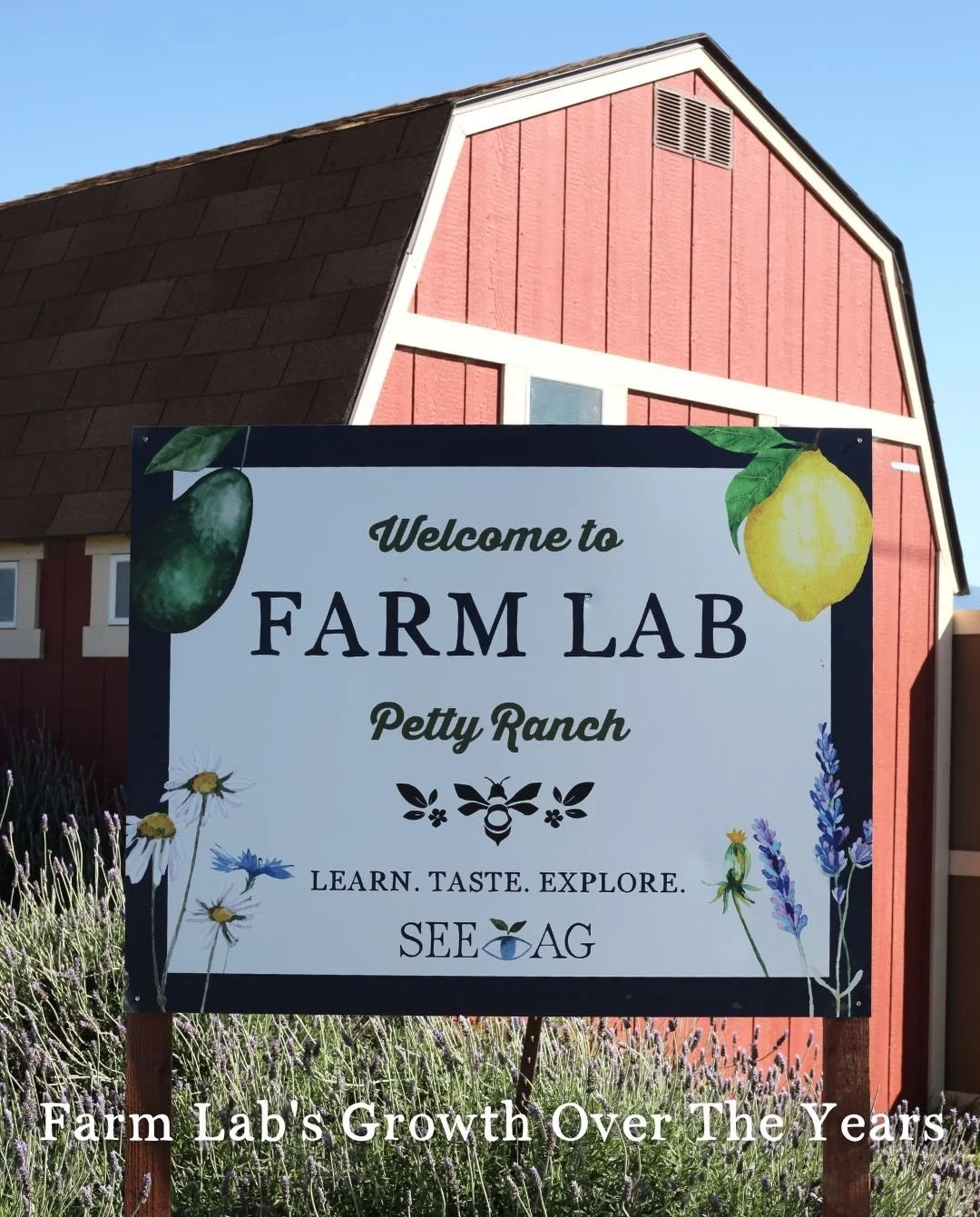 Farm to Food Lab: Growing Right Alongside Agriculture
 
From year to year, our Farm to Food Lab continues to evolve, just like farming. Looking back reminds us how far our program (and our students!) have grown.

Photos 2 &amp; 3: From the very begin
