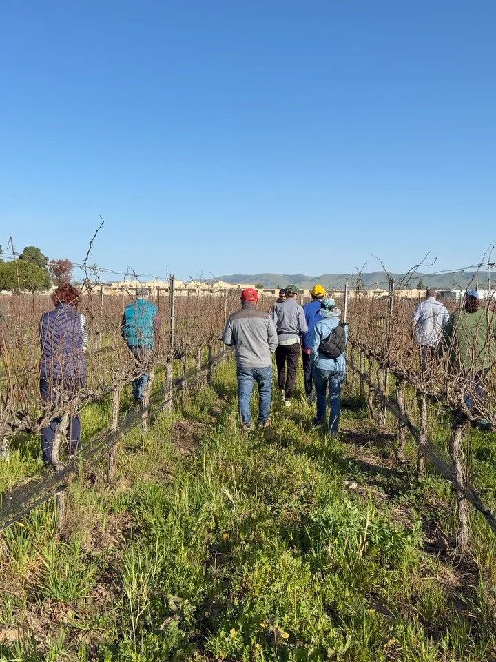 Thank you for joining us for the January Farm Day Every Day tour at Allan Hancock College Vineyard &amp; Farm! 

From learning about the variety of grapes and wines made, to walking in the shoes of a 3rd grader at our Farm-to-Food Lab program, we had