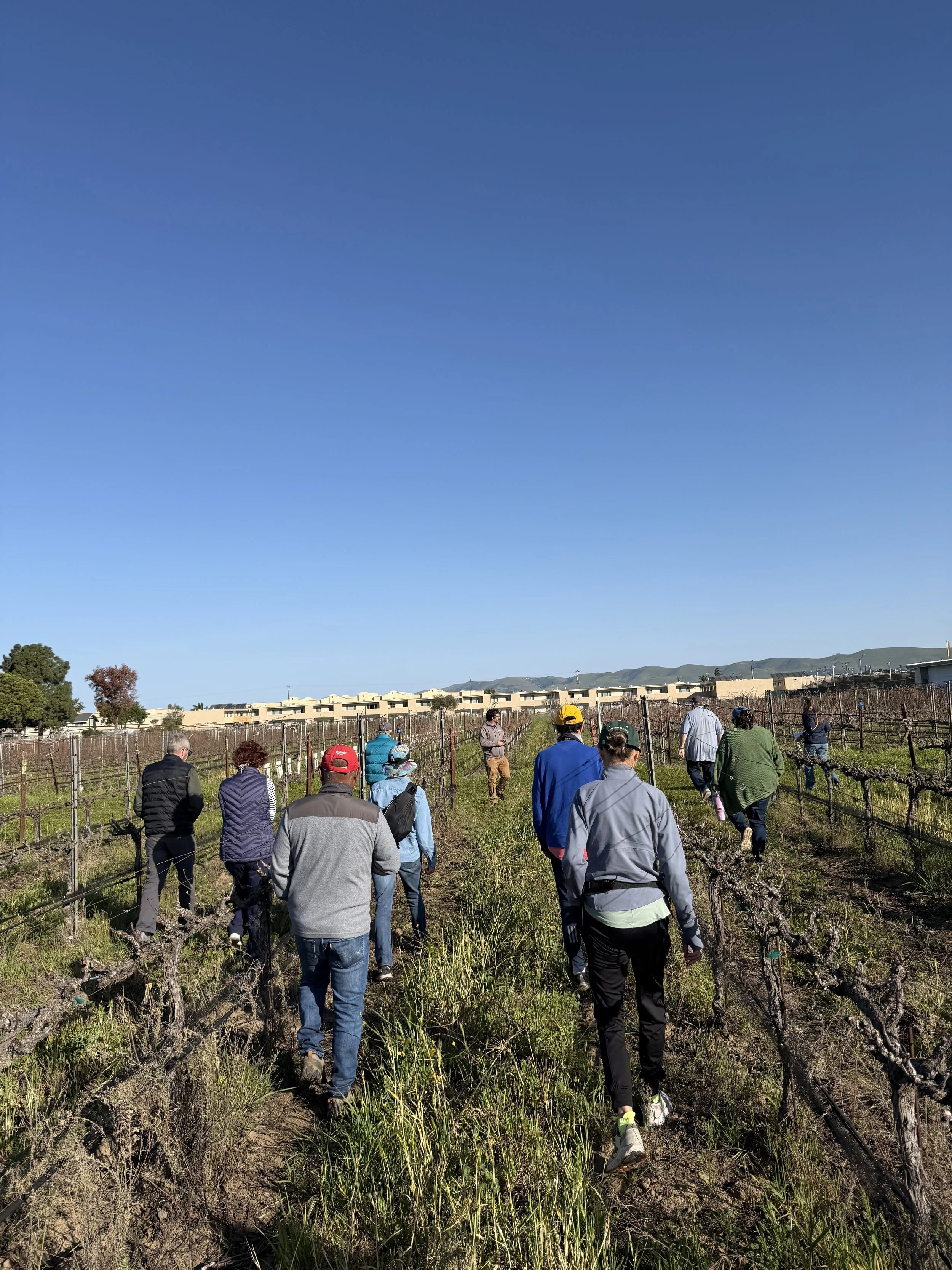 FDED Tour Recap at Allan Hancock College Vineyard &amp; Farm