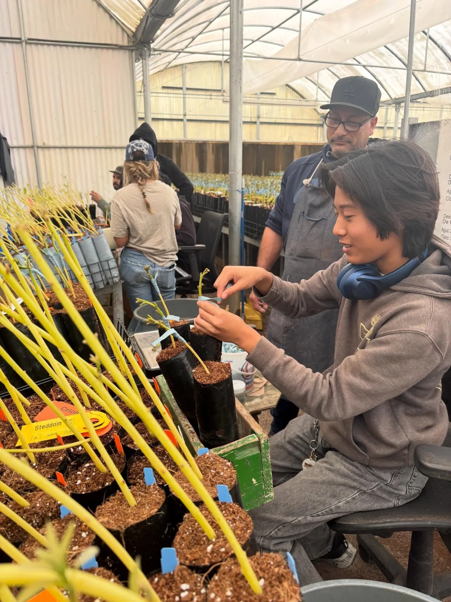 📞 Sorry, our students can&rsquo;t come to the phone right now&hellip; they&rsquo;re busy grafting! 🌱✂️

Over the last month, we&rsquo;ve had three classrooms visit Brokaw Nursery, where students got a behind-the-scenes look at avocado grafting, fro
