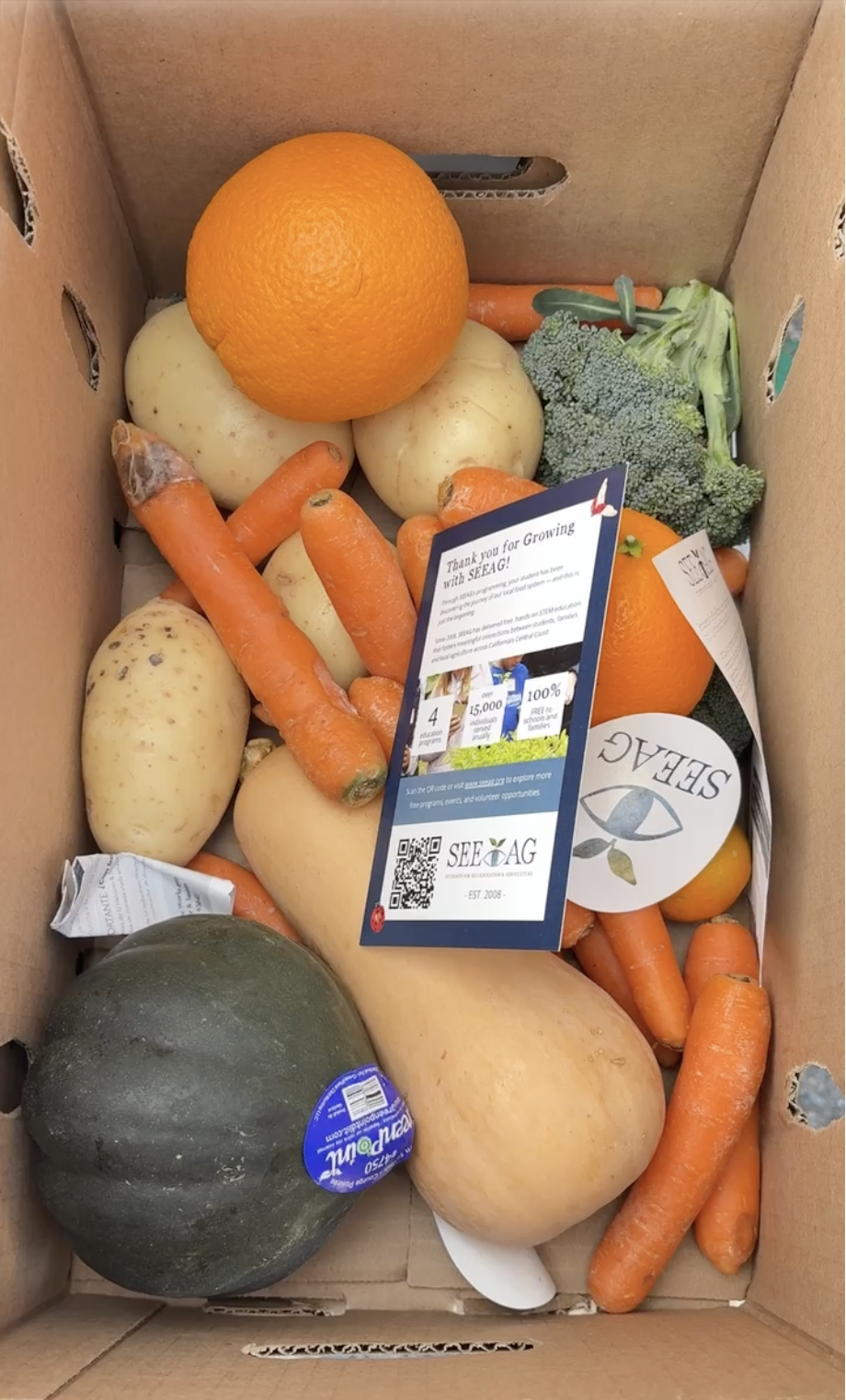 Produce Pop-Up Recap – Citrus Glen Elementary School, Ventura