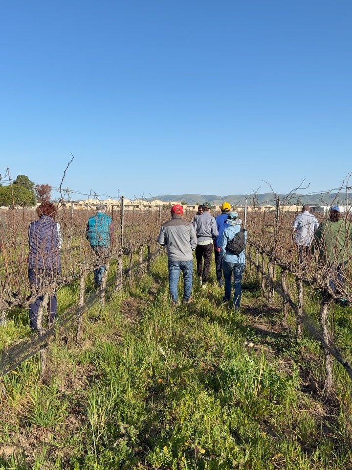 Thank you for joining us for the January Farm Day Every Day tour at Allan Hancock College Vineyard &amp; Farm! 

From learning about the variety of grapes and wines made, to walking in the shoes of a 3rd grader at our Farm-to-Food Lab program, we had