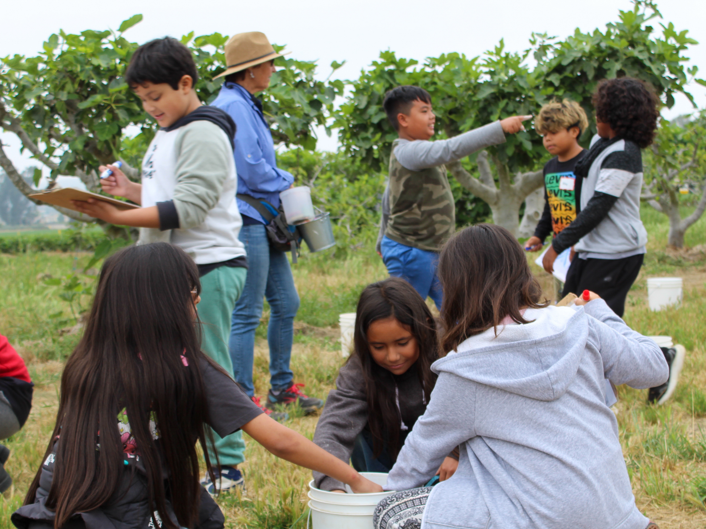 FD Tractor Photo - 4.png