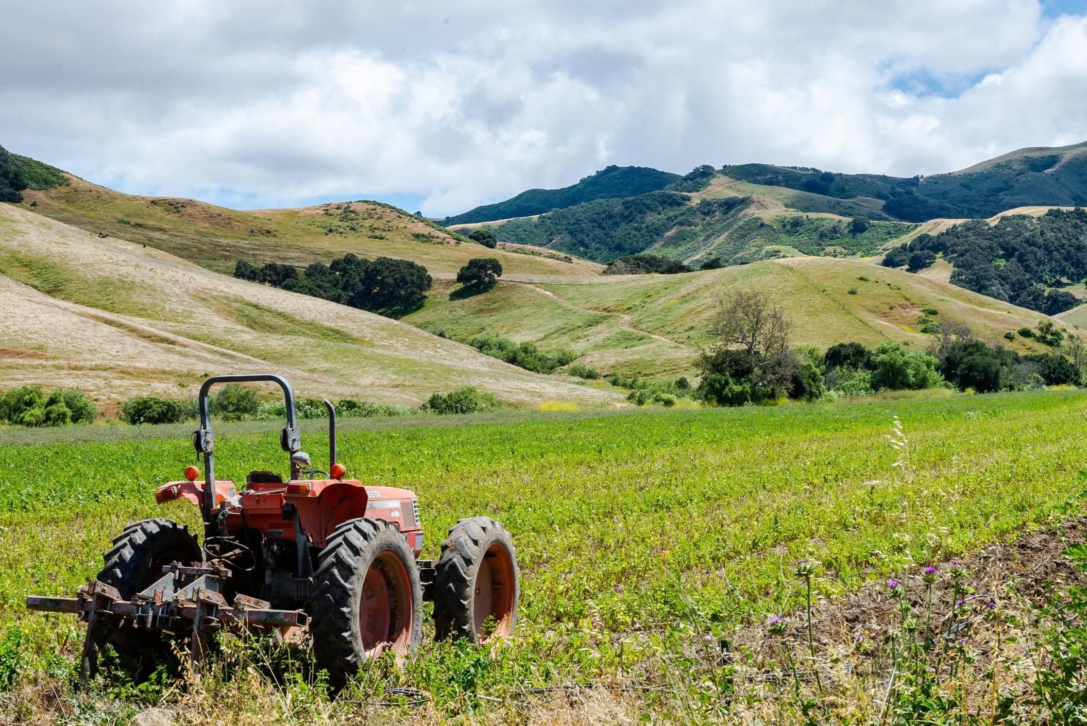 You’re Invited: March Farm Day Every Day at Tutti Frutti Farms