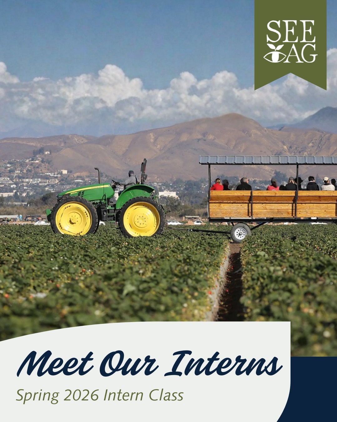 Meet the SEEAG Interns! 🌱 

Over the last few weeks we&rsquo;ve welcomed our newest group of interns to SEEAG! 

During their internship, they will be assisting with our education programs, community initiatives, and help connect students with the h