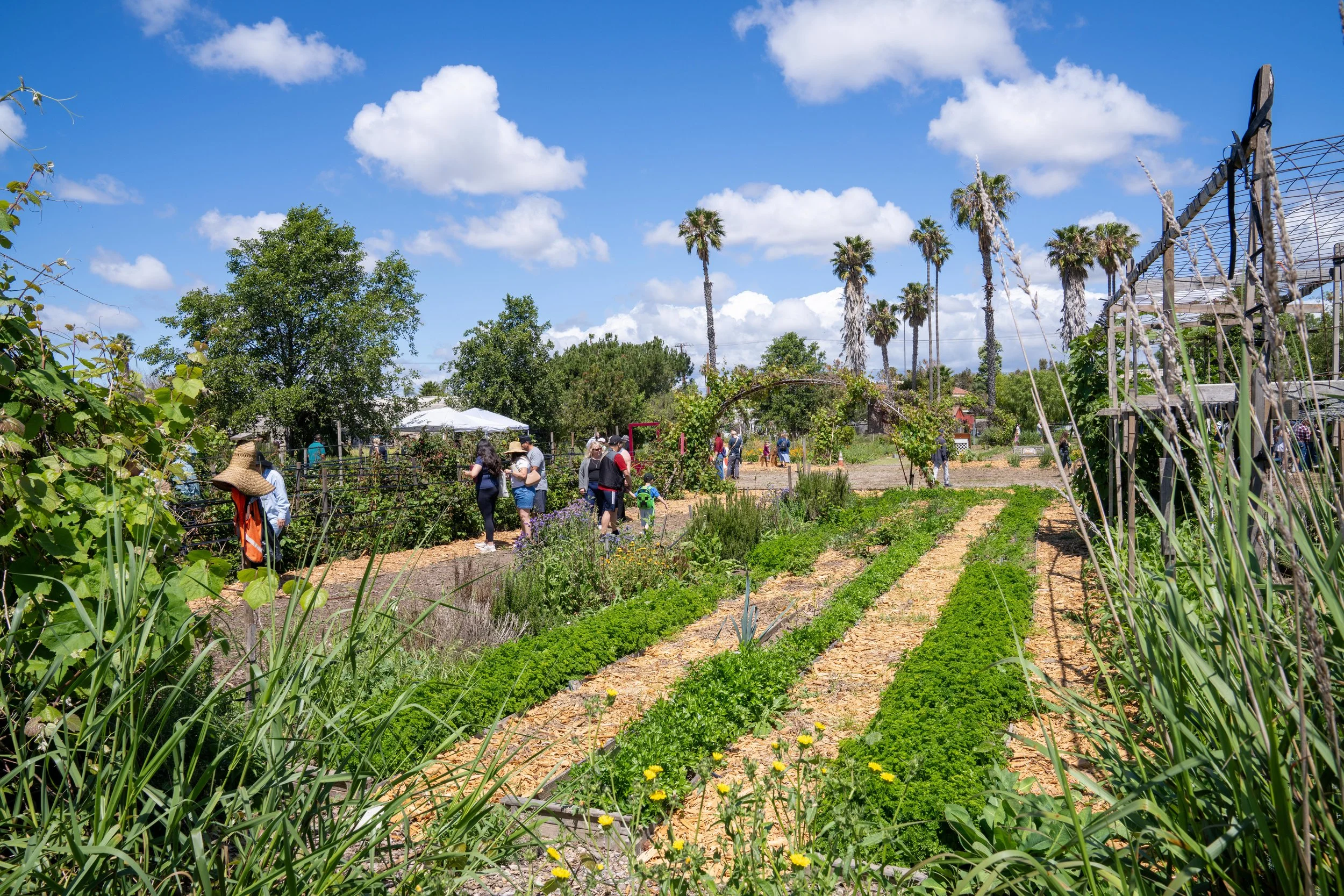 SEEAG Ventura County Farm Day 2026220.jpg
