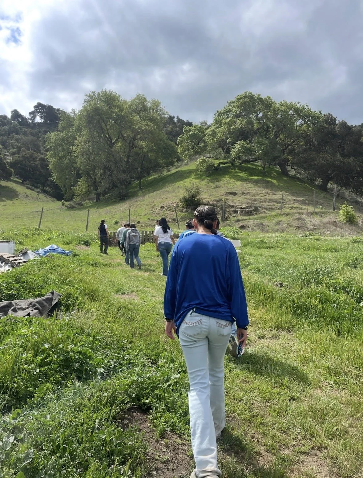 Delta High School Students Visit Santa Barbara Blueberries Farm