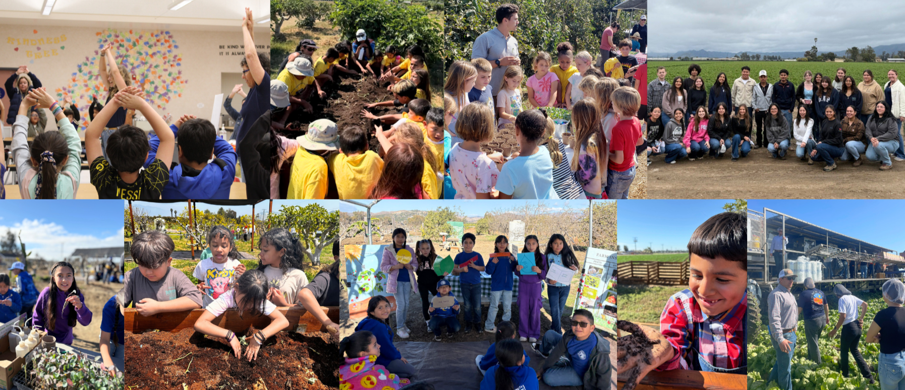 SEEAG’s Summer Internship Program: Apply TODAY!