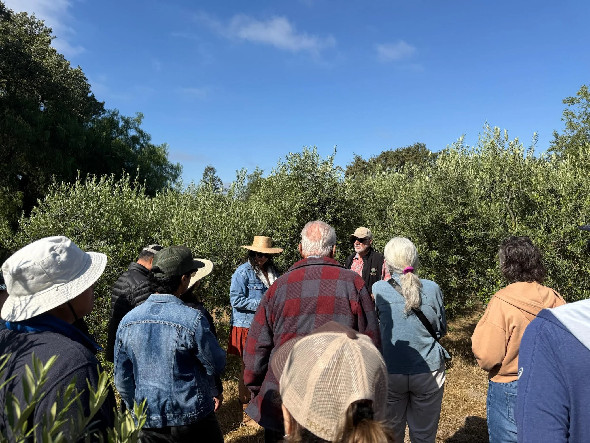 A Perfect Farm Day Every Day Tour at Rancho Olivos