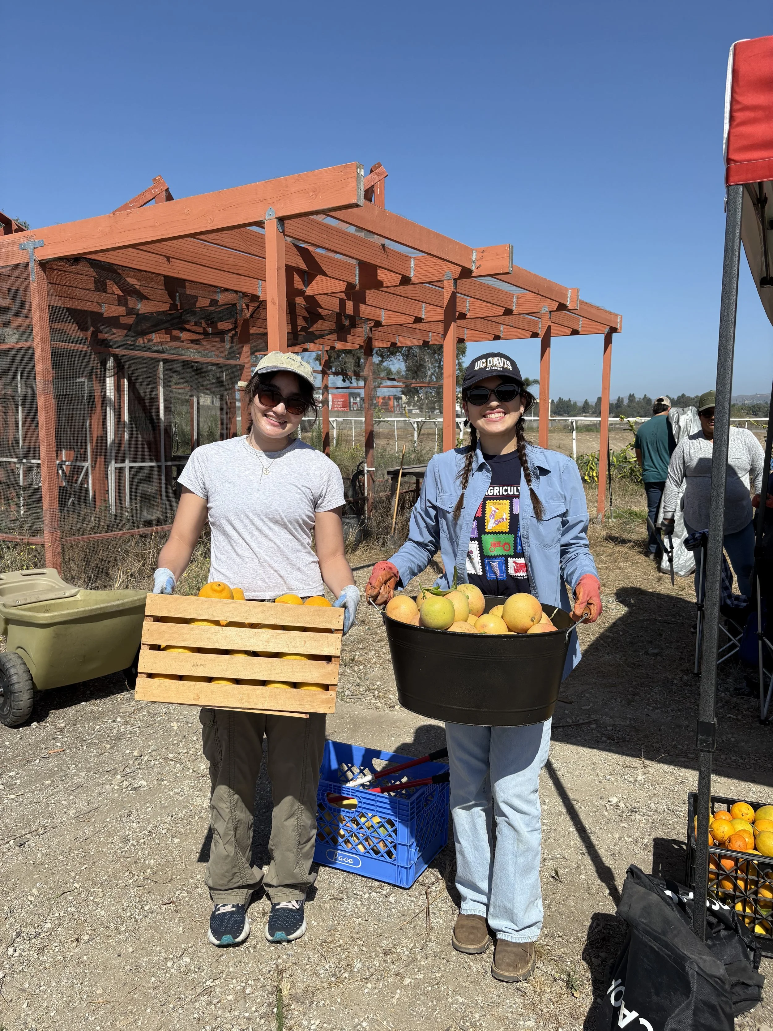 Volunteers Begin Southbank Learning Farm Metamorphosis