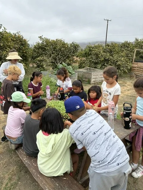 SEEAG Reaches Its Biggest Summer Yet with Record-Breaking Youth Programming