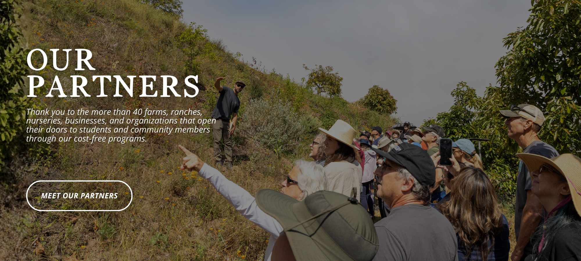 Website Banners (11).png