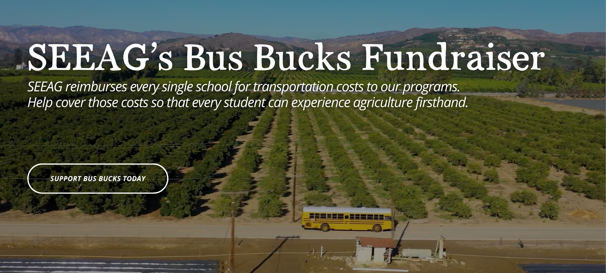 Website Banners (8).png