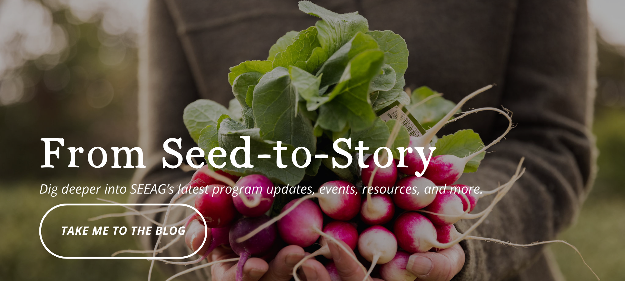 Website Banners (2).png