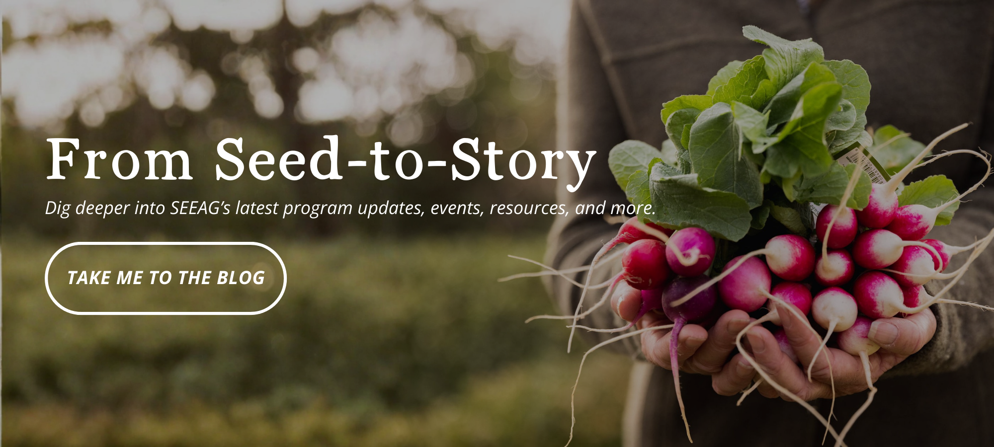 Website Banners (3).png