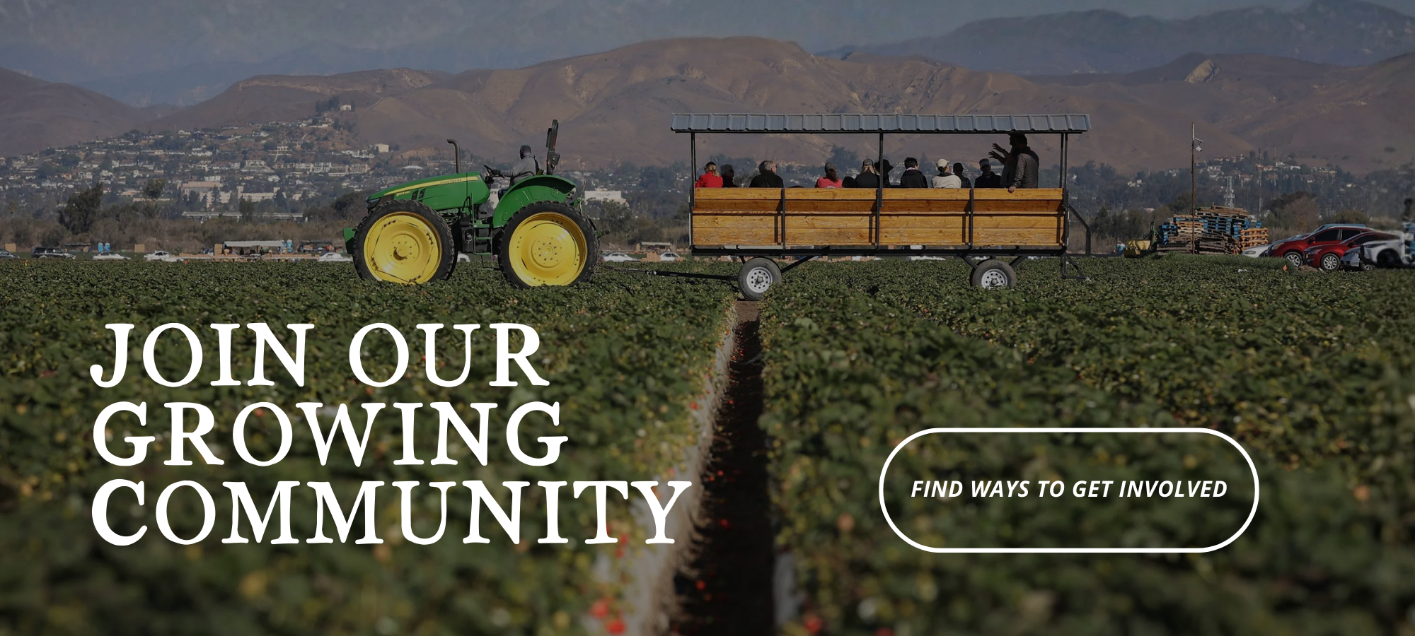 Website Banners (4).png