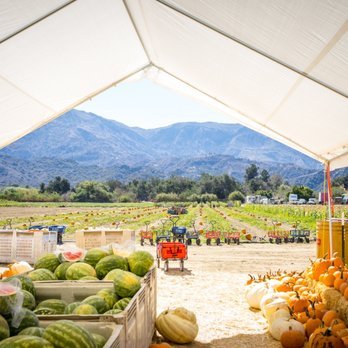 Prancer's Farm, fresh produce