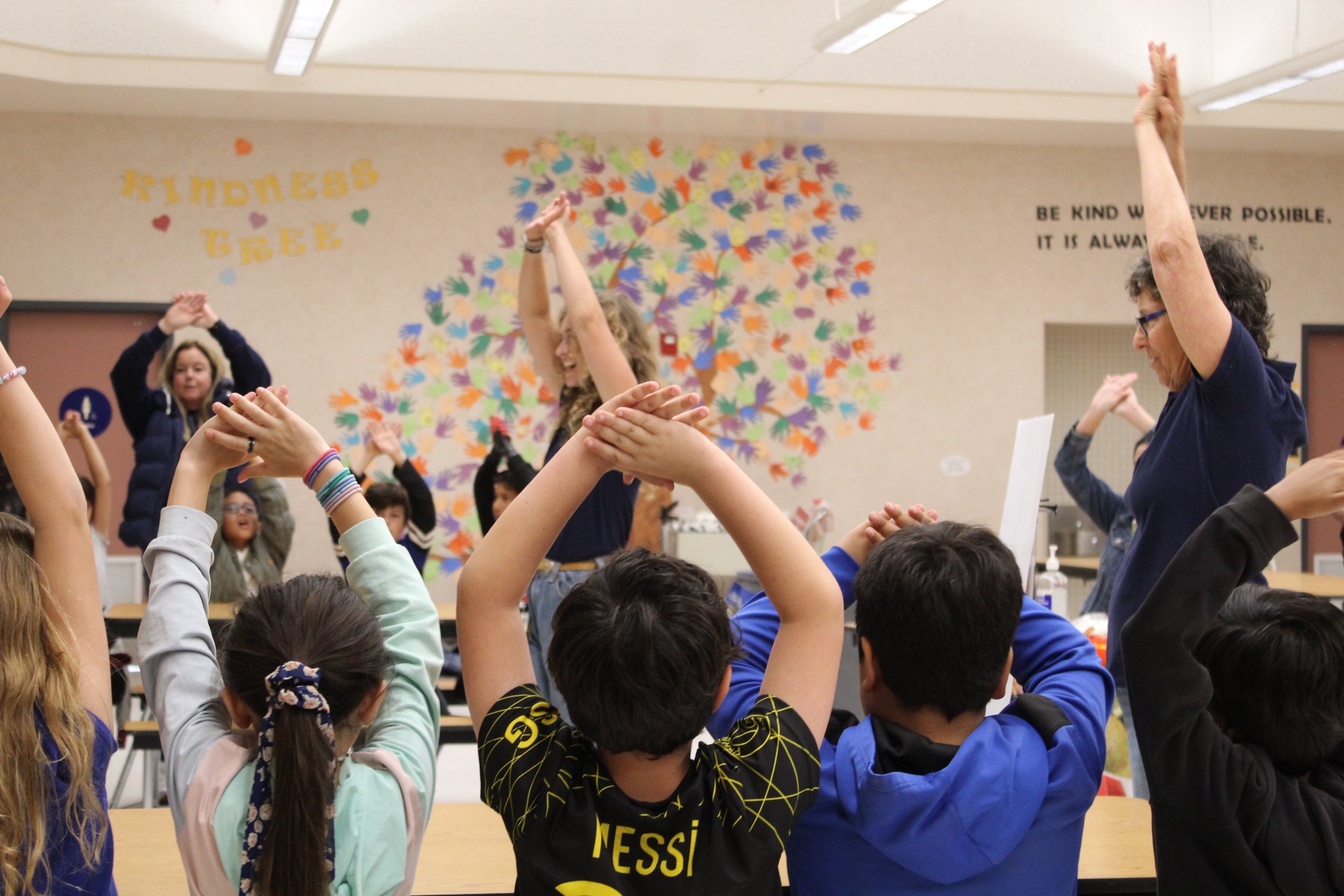 Alpacas at Windy Hill 