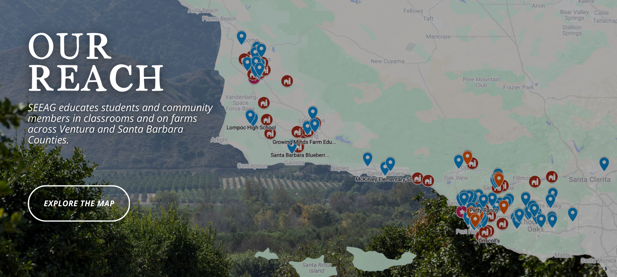 Website Banners (12).png