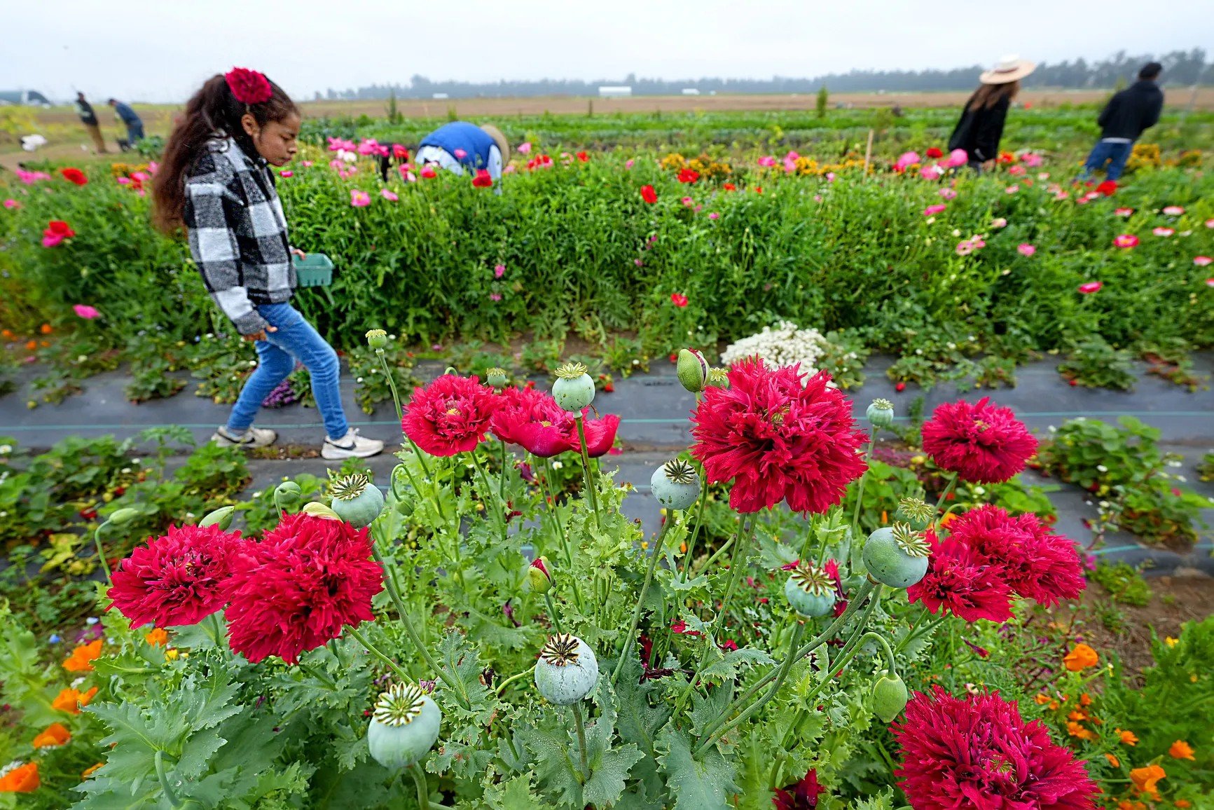 Rio School District Farm