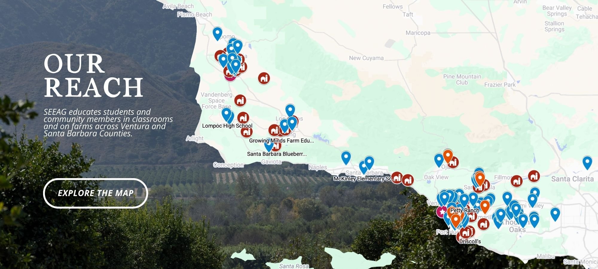 Website Banners (2).jpg