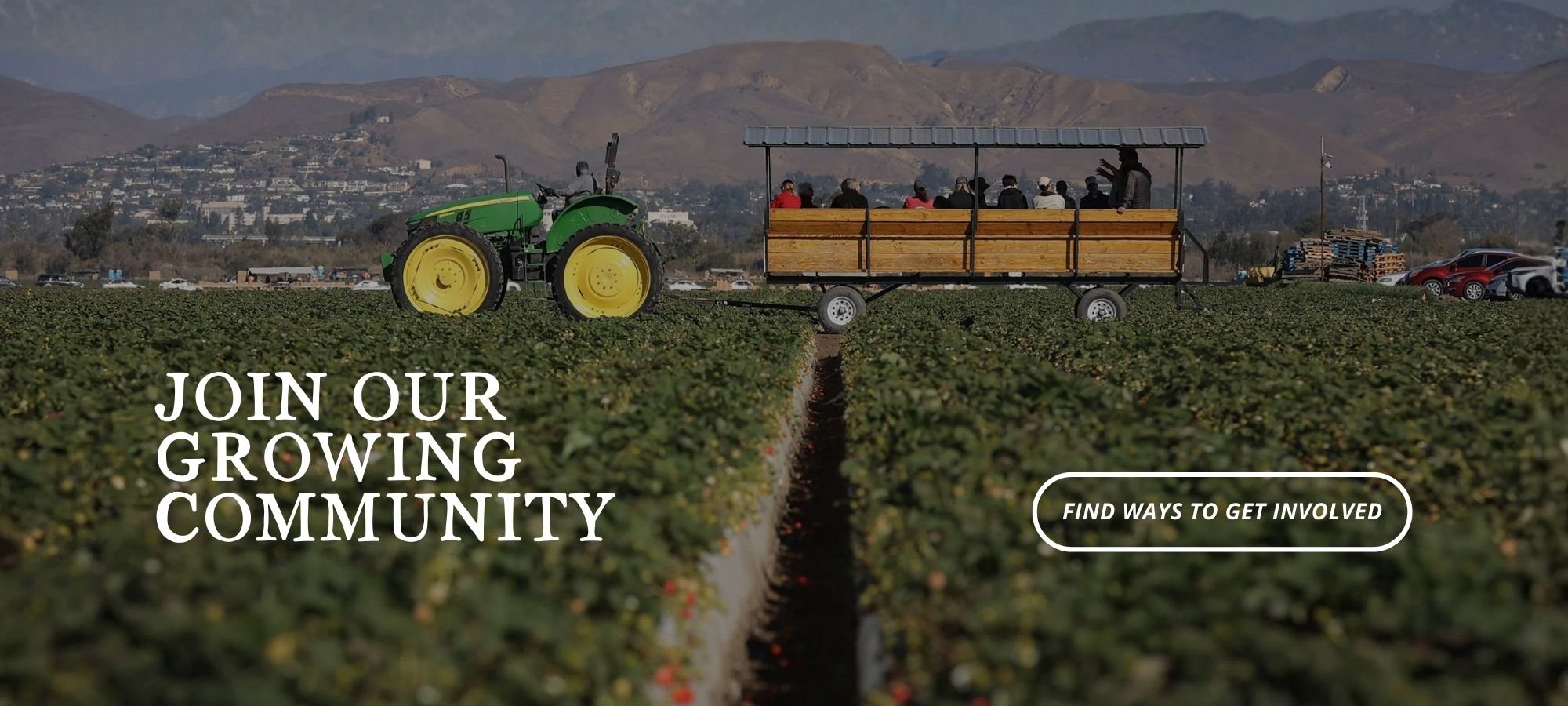 Website Banners (1).jpg