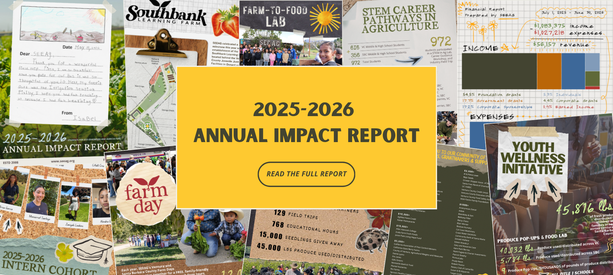 Annual Impact Report Banner.png