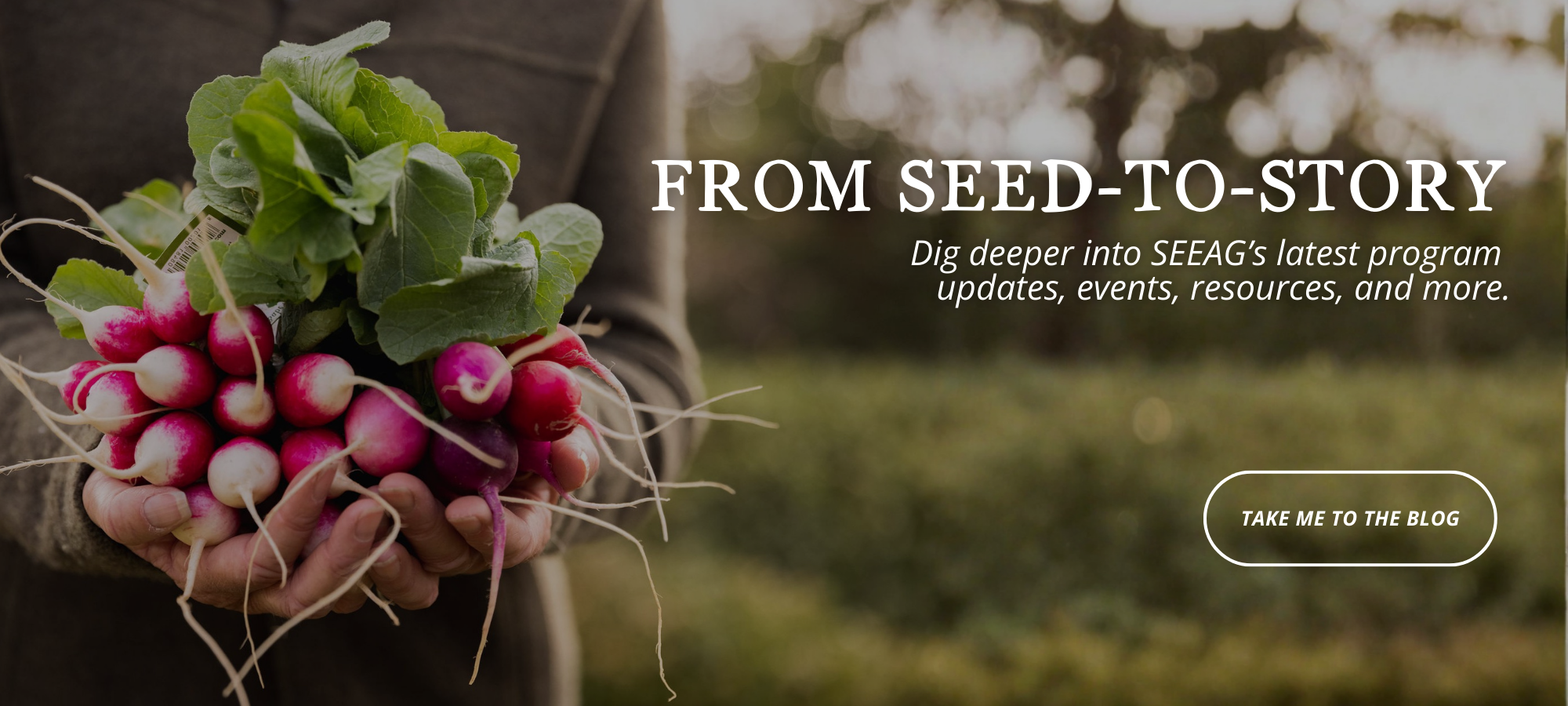 Website Banners (13).png