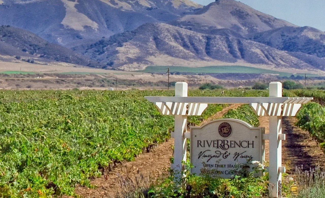 Riverbench Winery vineyards