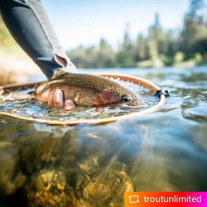 Washington Council of Trout Unlimited