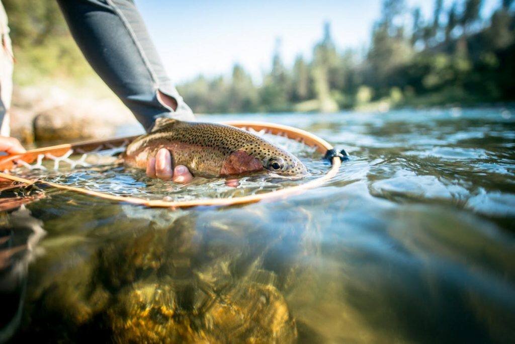 REPOST: @troutunlimited 

Community x Coldwater x Conservation

Cx3 is our biggest family-and-friends focused gathering of the year! We're excited to announce this year's event will be held in Spokane, Washington September 27 &ndash; October 1. 

Com