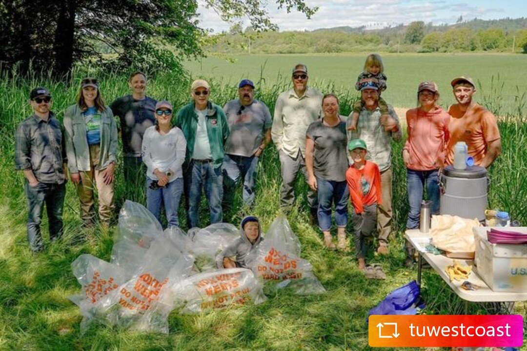 #REPOST @tuwestcoast with Green Thumbs for Salmon and Steelhead
 
Two years ago, TU staff replaced a culvert, decommissioned a road, and built a new bridge on Camp Creek, a tributary of Washington&rsquo;s Chehalis River. The project restored access t